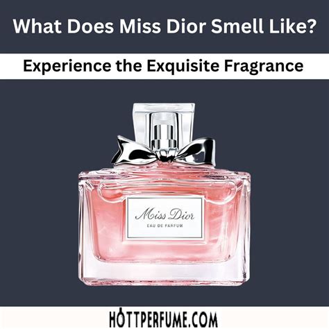 is miss dior oil based|what does Miss Dior perfume smell like.